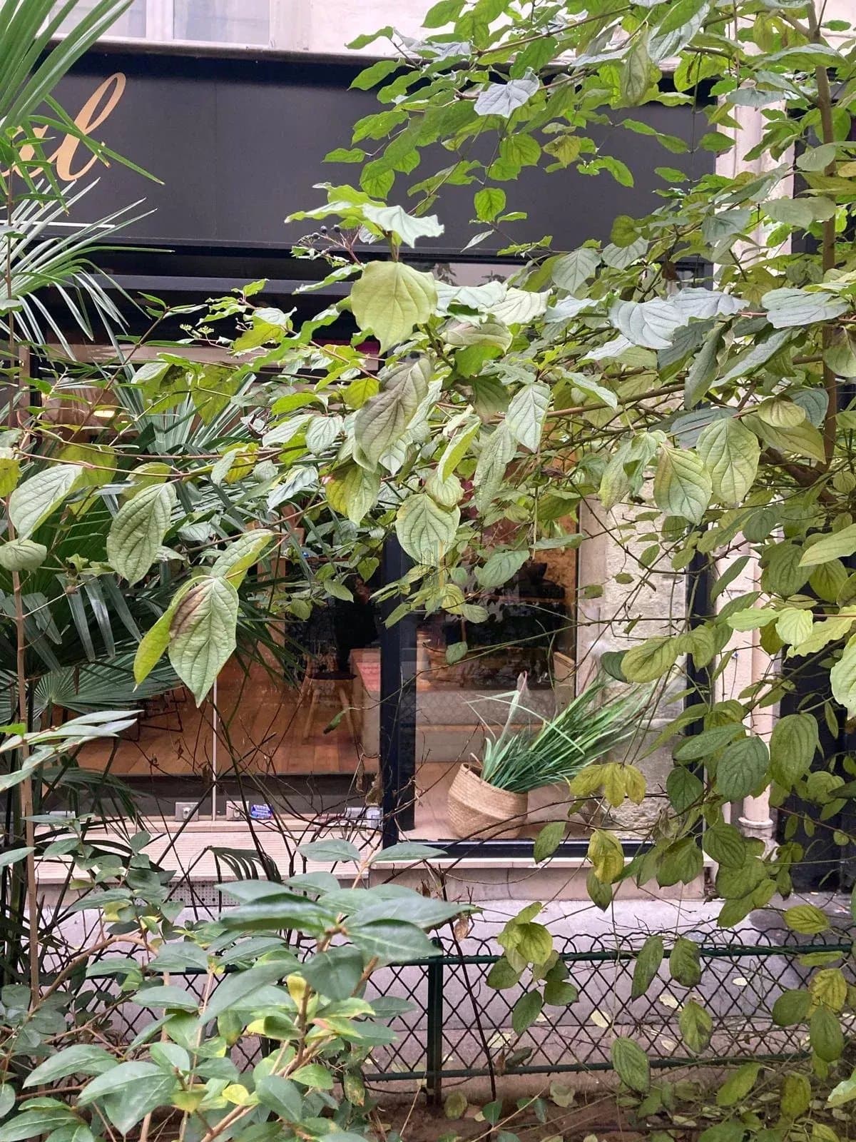 Local professionnel & commercial lumineux de caractère – 81 m² – Château d'Eau, Paris 10ᵉ